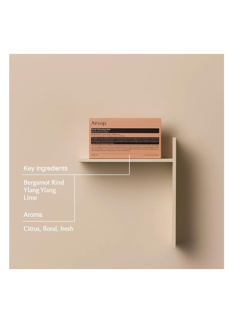 أيسوب لوح تنظيف الجسم من إيسوب ريفريش 310 جرام - Image 3