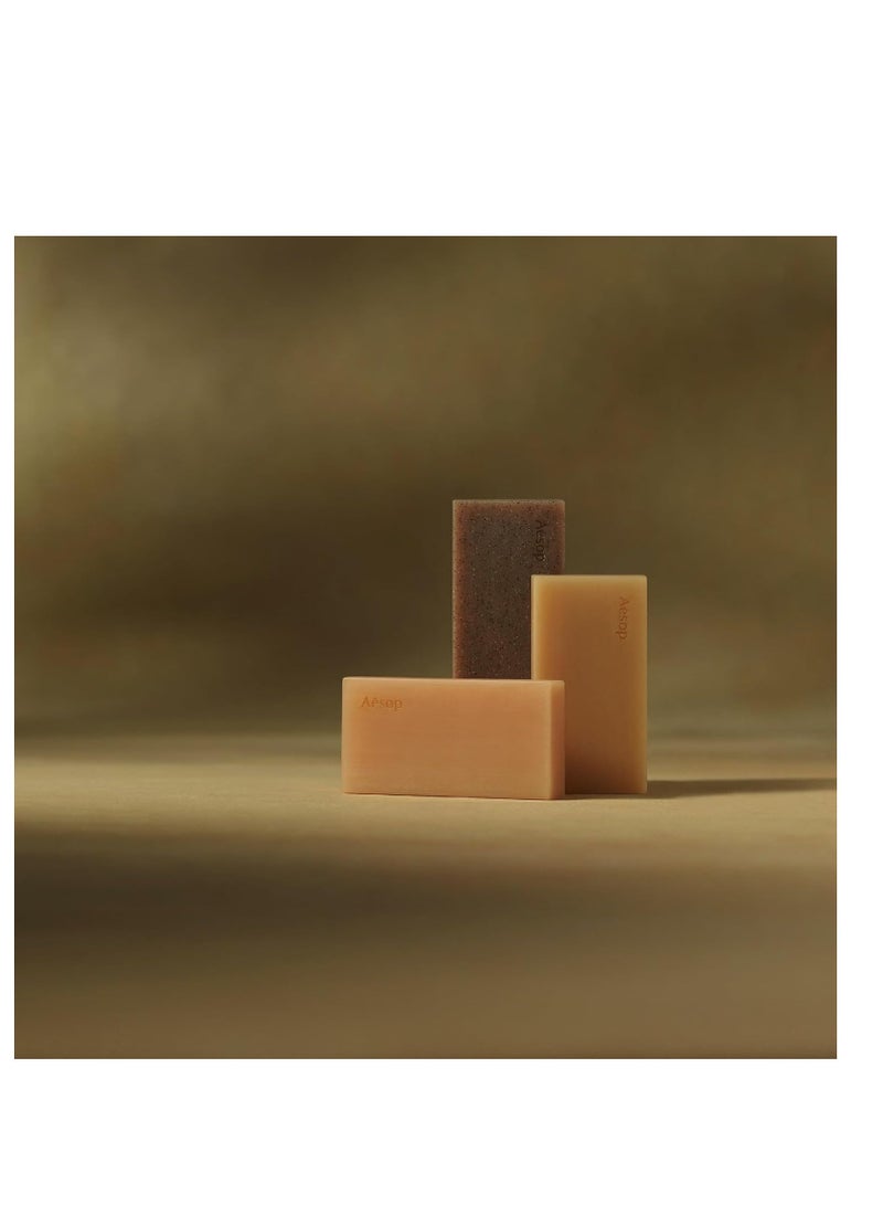 أيسوب لوح تنظيف الجسم من إيسوب ريفريش 310 جرام - Image 4