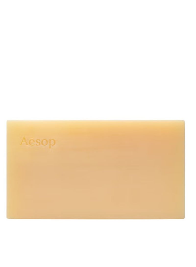 أيسوب لوح تنظيف الجسم من إيسوب ريفريش 310 جرام - Image 2