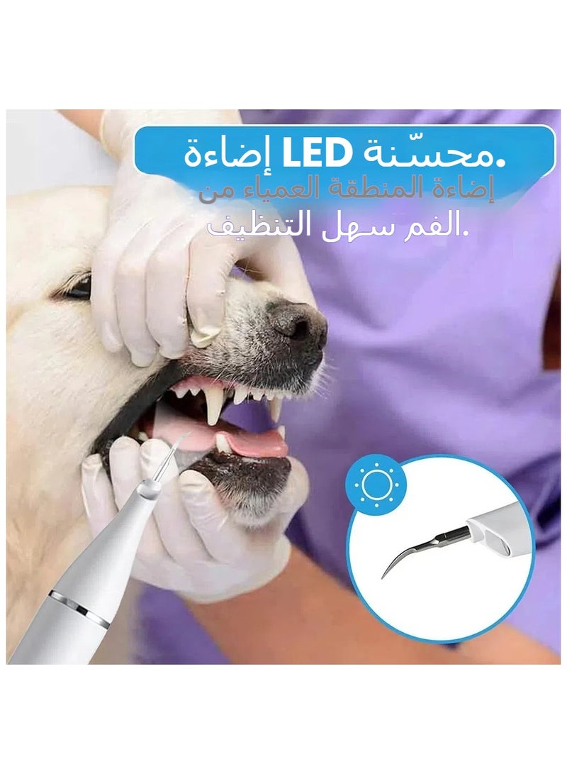 Pet True Ultrasonic Scaler Home USB Charging With LED Light Cats  Dogs Clean Oral Cavity and Remove Calculus - Image 3