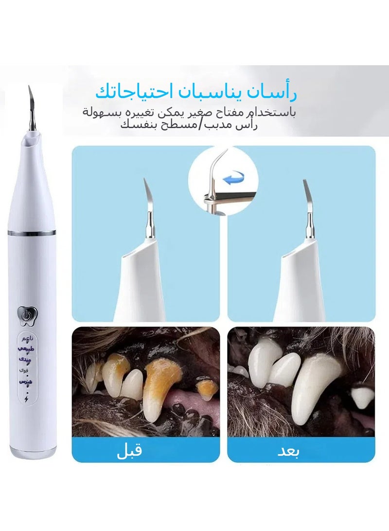 Pet True Ultrasonic Scaler Home USB Charging With LED Light Cats  Dogs Clean Oral Cavity and Remove Calculus - Image 4