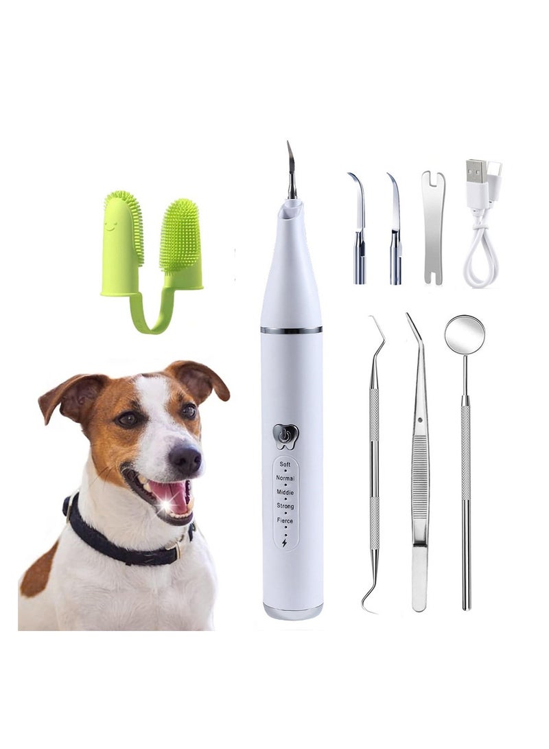 Pet True Ultrasonic Scaler Home USB Charging With LED Light Cats  Dogs Clean Oral Cavity and Remove Calculus - Image 2
