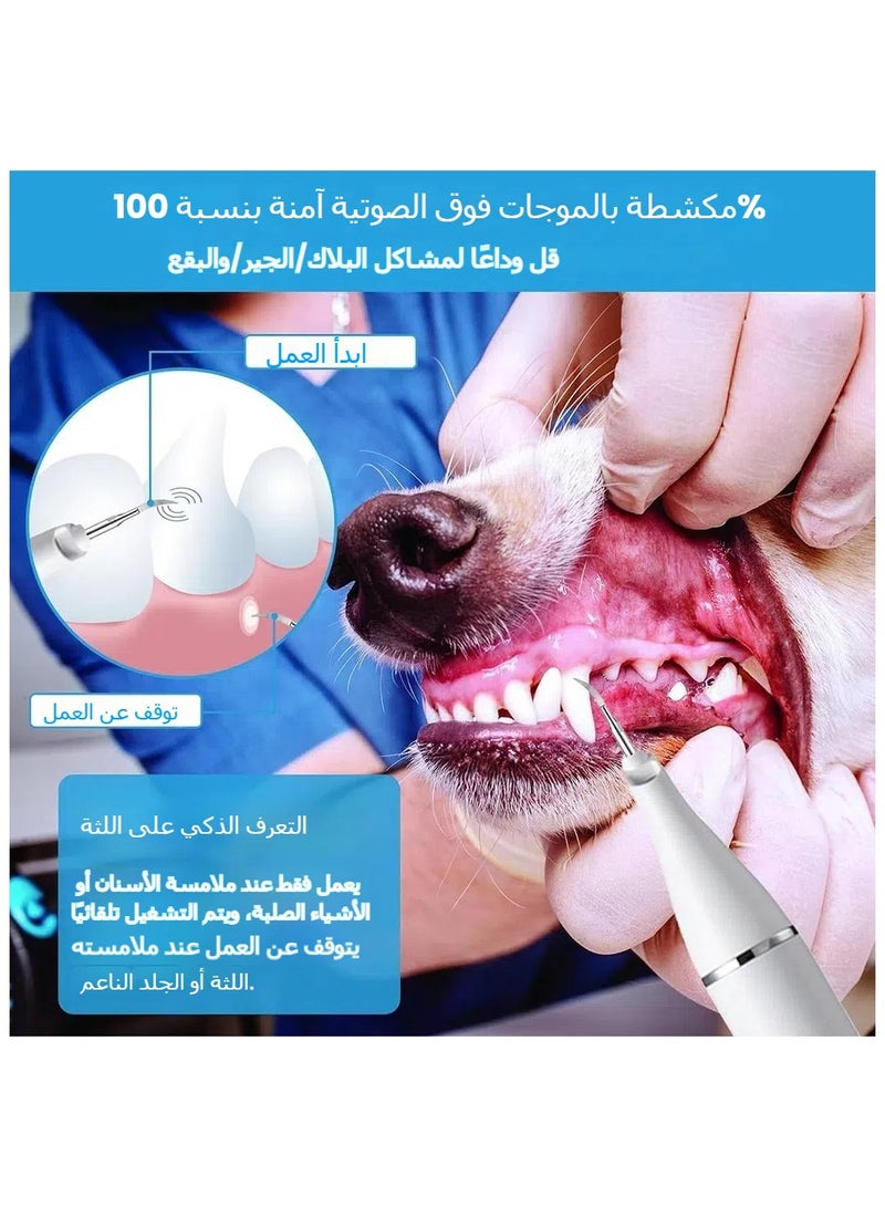 Pet True Ultrasonic Scaler Home USB Charging With LED Light Cats  Dogs Clean Oral Cavity and Remove Calculus - Image 5
