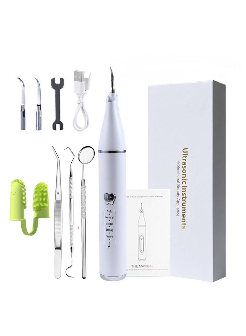 Pet True Ultrasonic Scaler Home USB Charging With LED Light Cats  Dogs Clean Oral Cavity and Remove Calculus - Image 1
