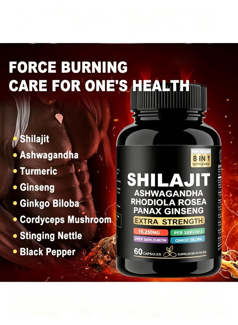 DAZZEL Shilajit Ashwagandha Rhodiola Rosea Panax Ginseng 15250 mg Extra Strength Turmeric Stinging Nettle Cordyceps Mushroom Ginkgo Biloba 60 Veggie Capsules Dietary Supplement - Image 3