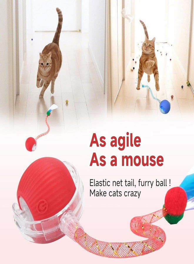 Tchernt 2 Packs Speed 2.0 Tail Interactive Cat Toys for Indoor Cats, Chirping & Motion Activate Cat Toy, Smart Kitten Rolling Ball Moving Ball Toys, Rechargeable Dog Cats Bal l for Enrichment Exercise - Image 2