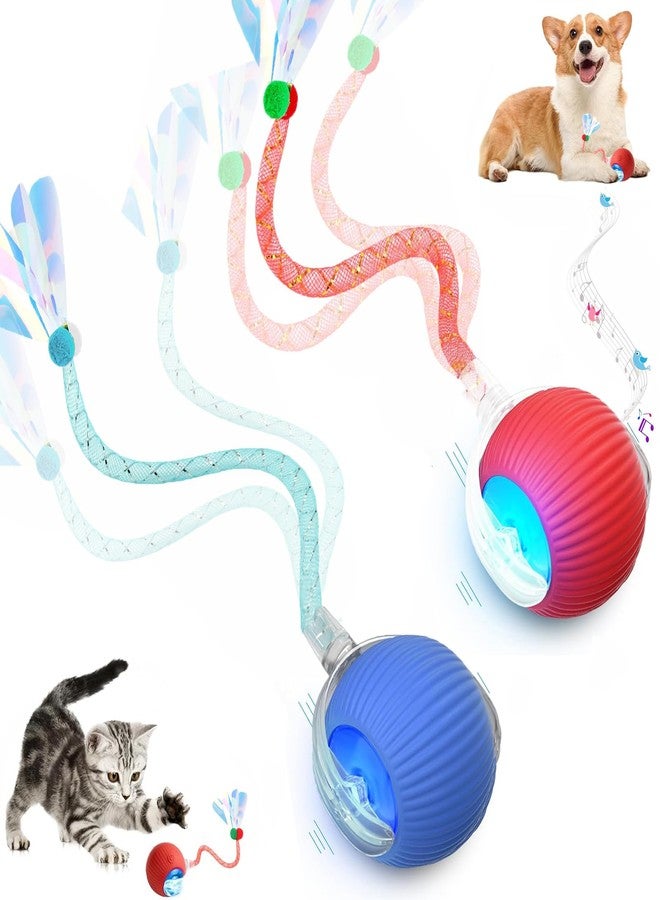 Tchernt 2 Packs Speed 2.0 Tail Interactive Cat Toys for Indoor Cats, Chirping & Motion Activate Cat Toy, Smart Kitten Rolling Ball Moving Ball Toys, Rechargeable Dog Cats Bal l for Enrichment Exercise - Image 1