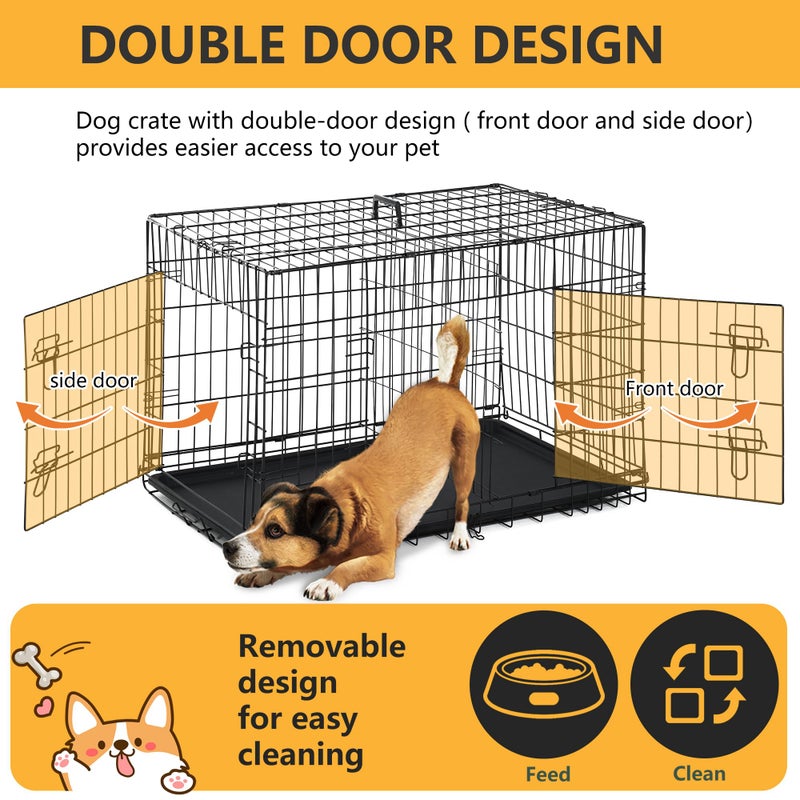 FDW Dog Crate Dog Kennel Cage with Double Door,36 inch Folding Metal Wire Dog Cage with Removable Tray&Divider Panel,Pet Crate for Medium Dogs,Black - Image 4