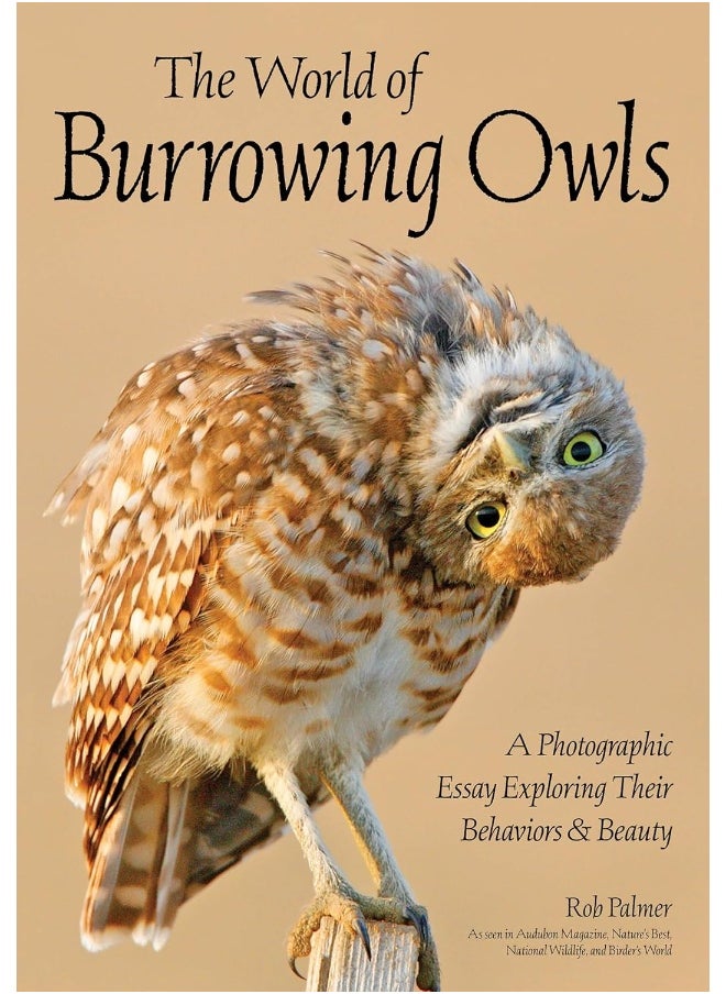 Burrowing Owls: A Visual Essay  - Image 1