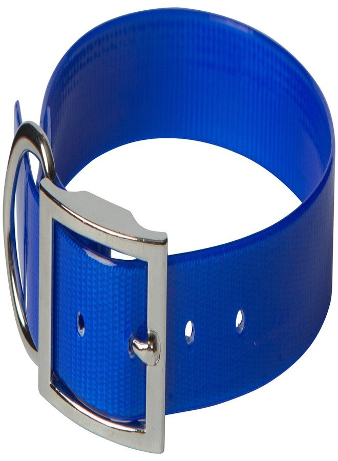 OmniPet SunGlo Regular Dog Collar, 3/4" Wide, Blue, Fits 9"- 12.5" Neck Sizes, Vibrant Colors & Tough Construction for Active Dogs