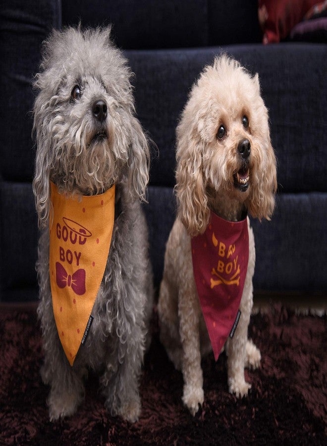 Mutt of Course Bad Boy Dog Bandana (Large) - Image 2