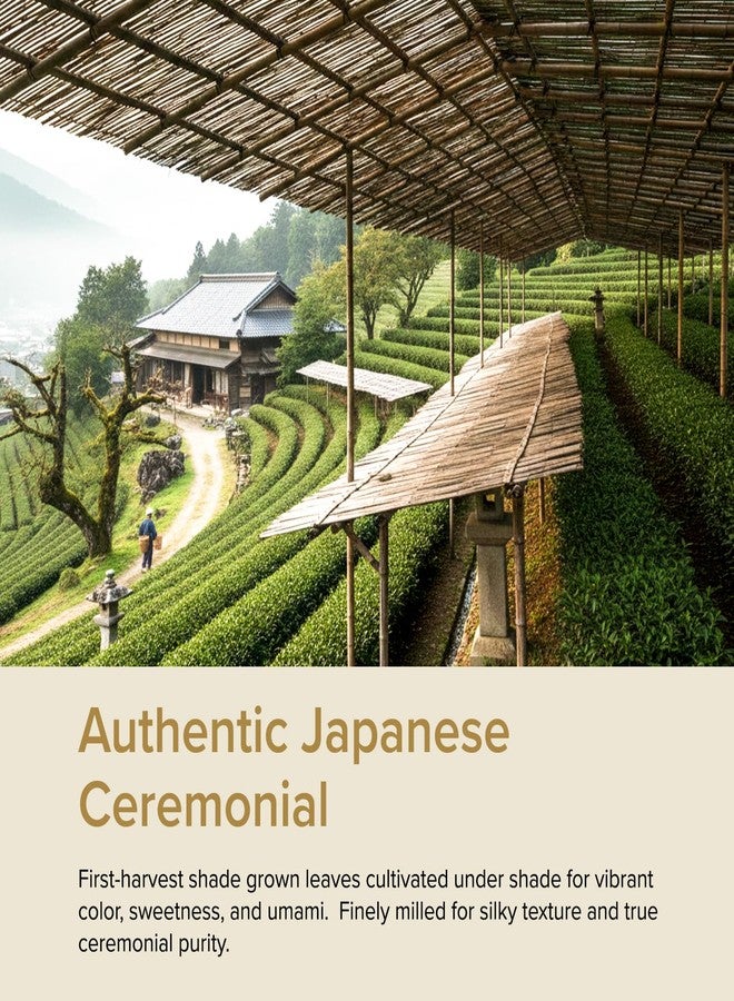 VAHDAM Ceremonial Matcha Tea – Authentic Matcha Tea Powder from Japan |Superior Grade Matcha | Ultra-Fine & Velvety | No Bitterness, Fresh Aroma | 30g - Image 2