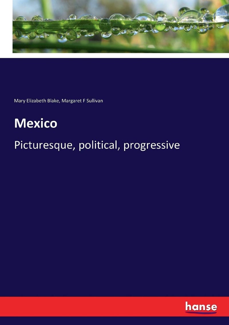 Mexico: Picturesque, political, progressive - Image 1