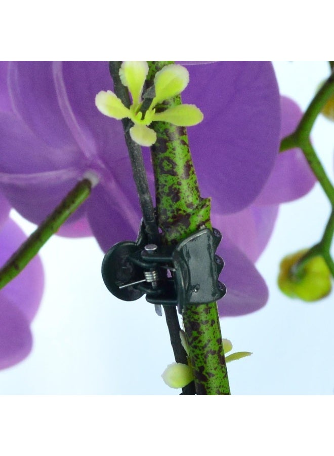 baotongle Baotongle 100 Pieces Plant Clips, Orchid Clips Plant Orchid Support Clips Flower And Vine Clips For Supporting Stems Vines Grow Upright Dark Green  - Image 5