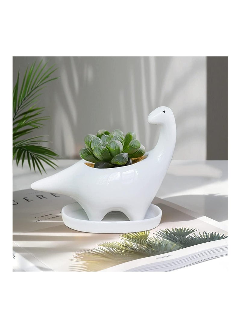 SOLARAE White Dinosaur Ceramic Succulent Planter, Flower Plant Pot Window Box with Saucer, Cartoon Animal Decor, 5 Inch, Indoor Outdoor, Tabletop Bonsai, Cactus Flower Pot Vase Holder Decorative Organizer - Image 5