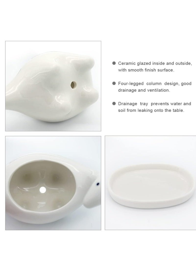 SOLARAE White Dinosaur Ceramic Succulent Planter, Flower Plant Pot Window Box with Saucer, Cartoon Animal Decor, 5 Inch, Indoor Outdoor, Tabletop Bonsai, Cactus Flower Pot Vase Holder Decorative Organizer - Image 4