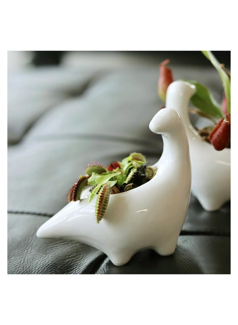SOLARAE White Dinosaur Ceramic Succulent Planter, Flower Plant Pot Window Box with Saucer, Cartoon Animal Decor, 5 Inch, Indoor Outdoor, Tabletop Bonsai, Cactus Flower Pot Vase Holder Decorative Organizer - Image 3