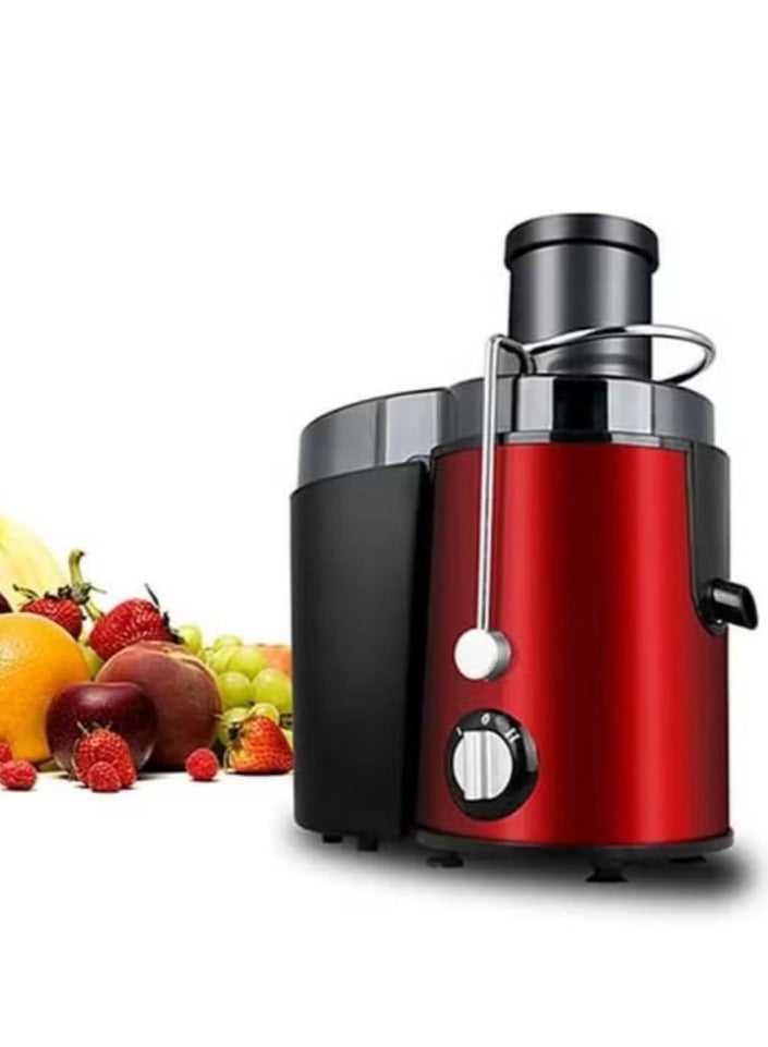 Dinex Electric fruit and vegetable juicer with a power of 800 watts and a capacity of 600 ml - Image 2
