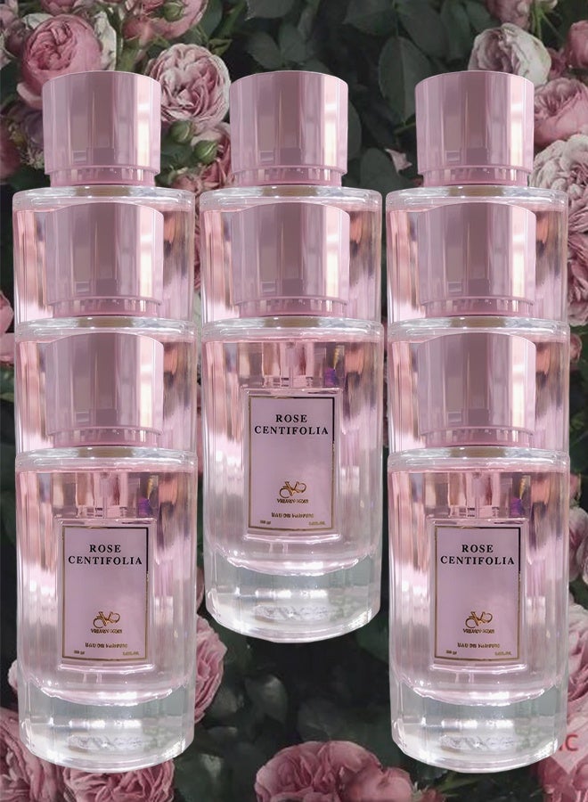 VELVET 8 Pieces Rose Centifolia Perfume For Women 100mlEDP - Image 1