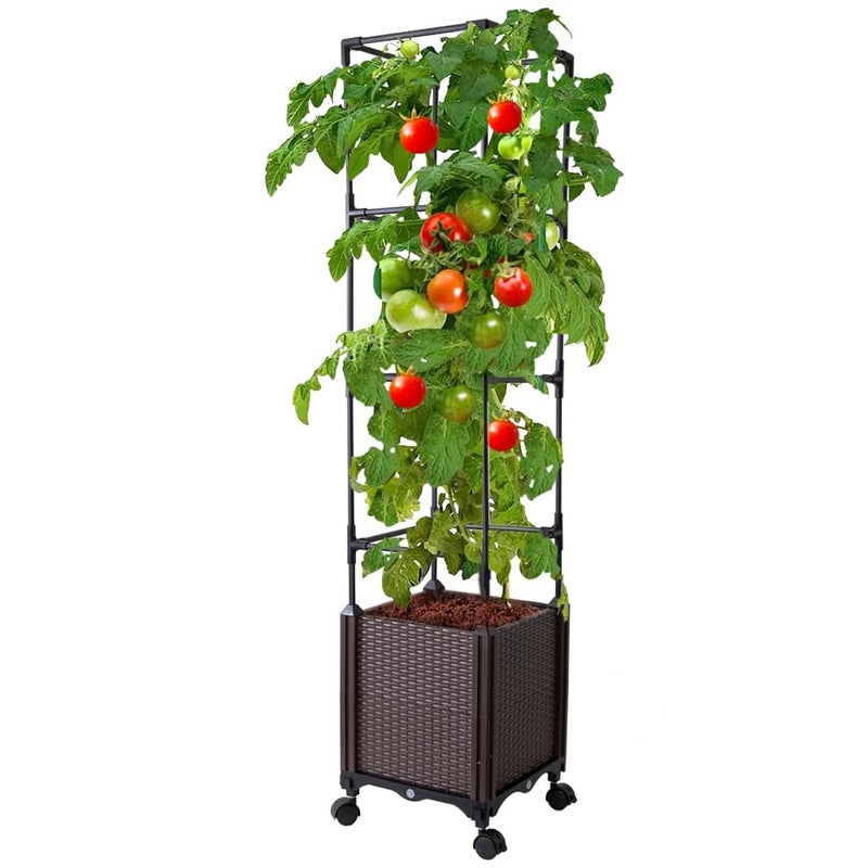 Antmoilios Raised Garden Bed with Tomato Cage & Trellis, 56" Self-Watering Tomato Planter Box for Vegetables Flowers | Lockable Wheels, Vertical Gardening | Indoor Outdoor Patio Use, Easy Assembly - Image 1