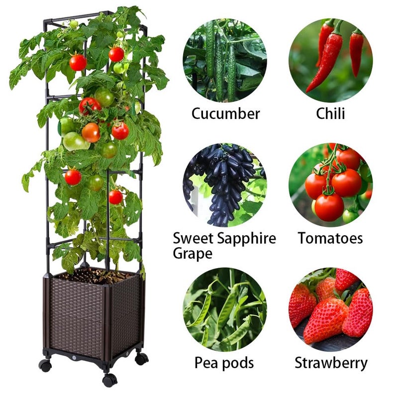 Antmoilios Raised Garden Bed with Tomato Cage & Trellis, 56" Self-Watering Tomato Planter Box for Vegetables Flowers | Lockable Wheels, Vertical Gardening | Indoor Outdoor Patio Use, Easy Assembly - Image 2