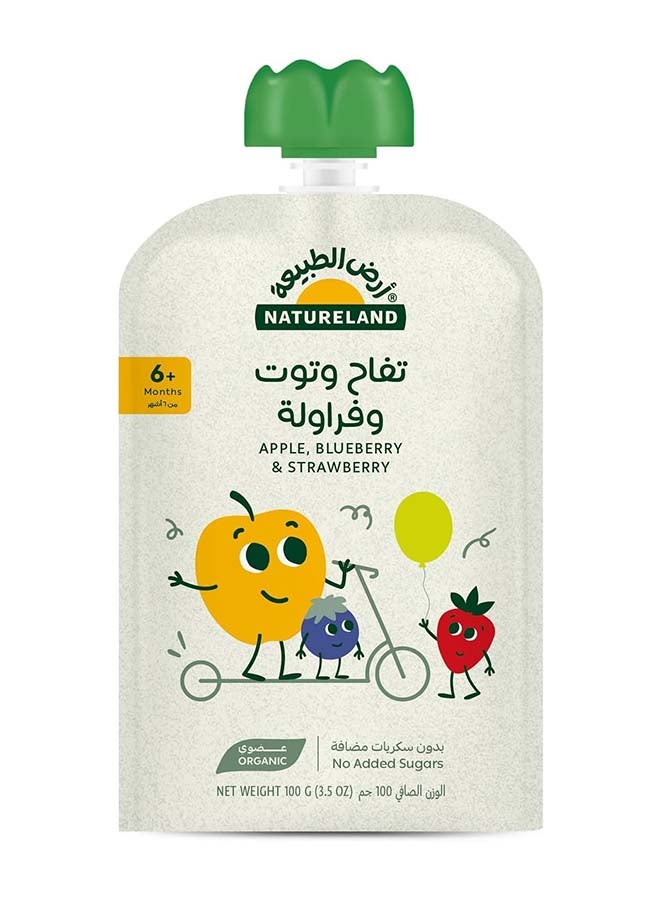 Fruit Puree - Apple Blueberry Strawberry 100g