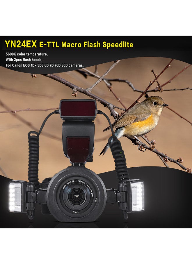 YONGNUO E-TTL Macro Flash Speedlite 5600K with 2pcs Flash Heads and 4pcs Adapter Rings for Canon EOS 1Dx 5D3 6D 7D 70D 80D Cameras  - Image 3