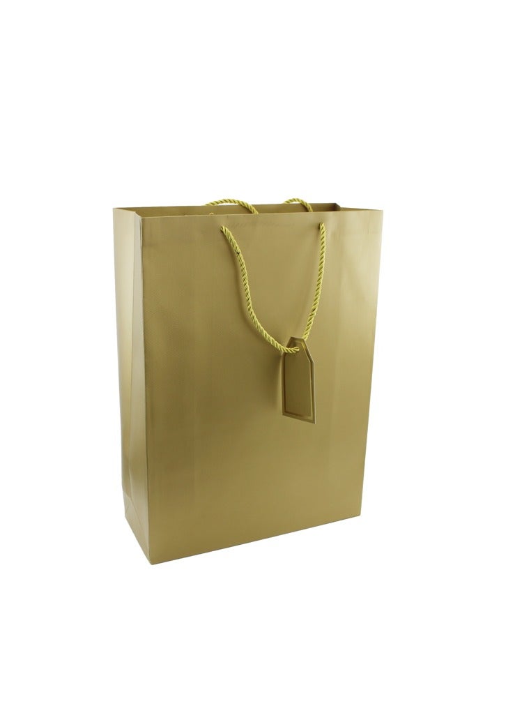 PARTY FUN Paper Gift Bag 18x10x23cm, Elegant Packaging for Stylish Presents Golden Color  - Image 1