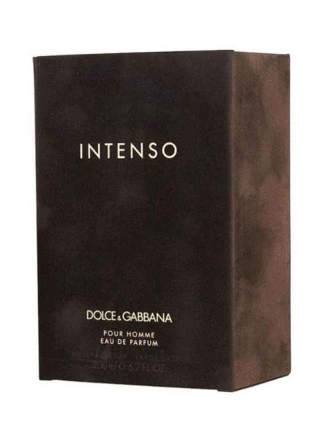 Dolce & Gabbana Intenso EDP 200ml - Image 4