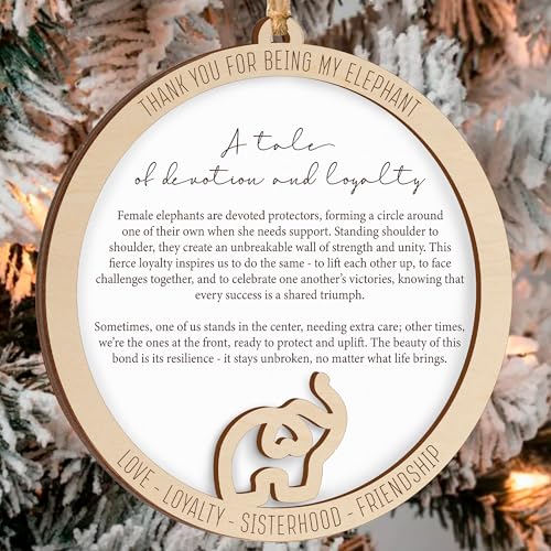 Sensemory Best Friend Birthday Gifts for Women, Friendship Elephant Ornament with Story Card, Friendship Gifts for Women, Birthday Presents for Best Friends Sisters Special Bond Decor (Loyalty) - Image 4