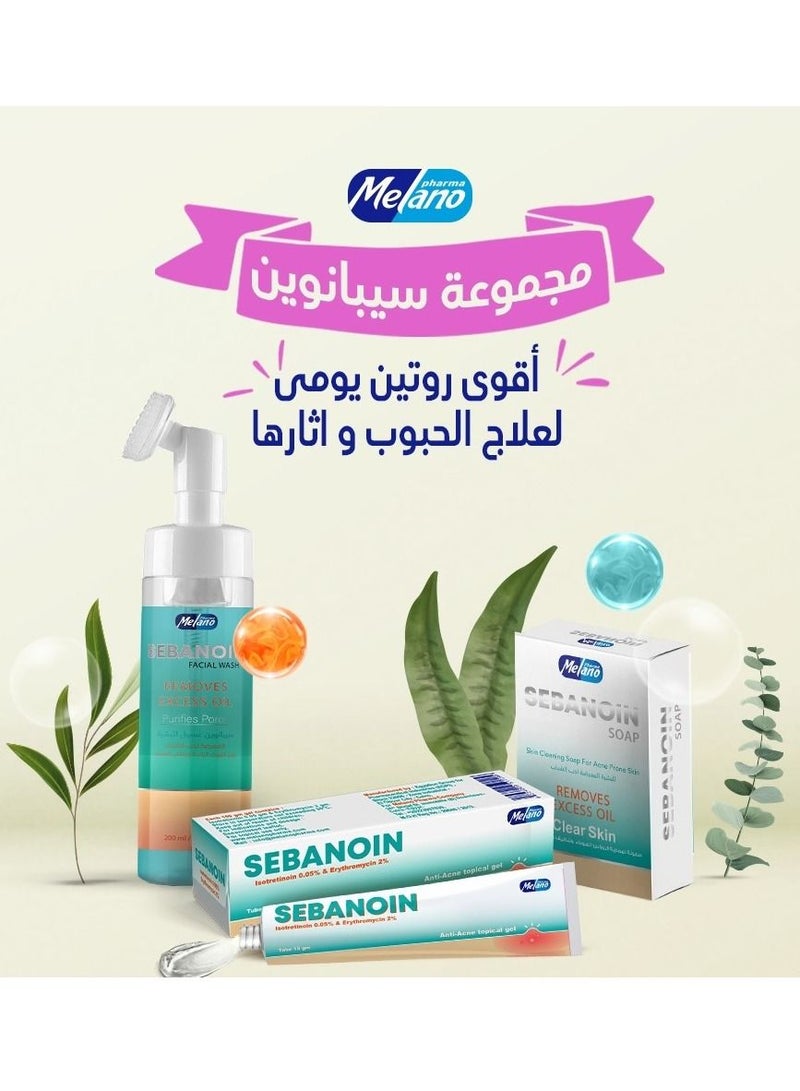 Melano Pharma The Best Set Of Sebanoin Cream 15 g + Facial Wash Extra Foaming 150 ml + Soap Clear Skin 100 g