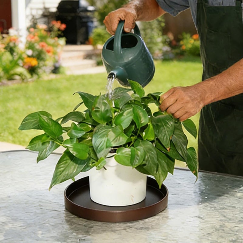 Afrine Plant Saucer, Plant Saucers - Image 5