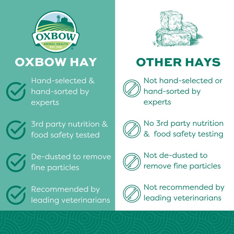 Oxbow Western Timothy Hay for Small Pets - All-Natural Grass Hay for Rabbits, Guinea Pigs, and Chinchillas - High Fiber for Digestive Health and Dental Support - 40 oz Bag - Image 2