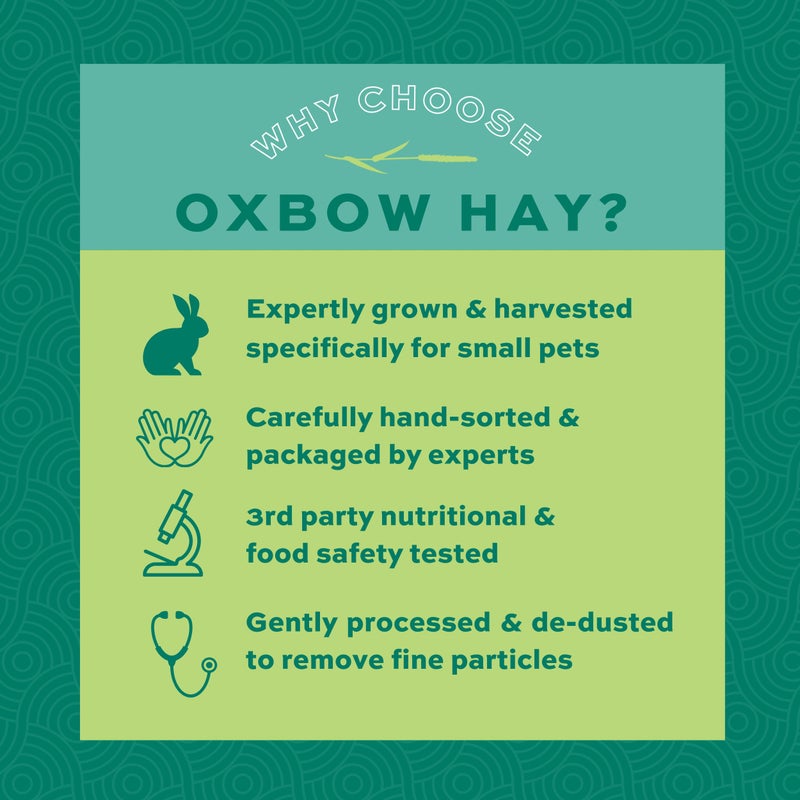 Oxbow Western Timothy Hay for Small Pets - All-Natural Grass Hay for Rabbits, Guinea Pigs, and Chinchillas - High Fiber for Digestive Health and Dental Support - 40 oz Bag - Image 4