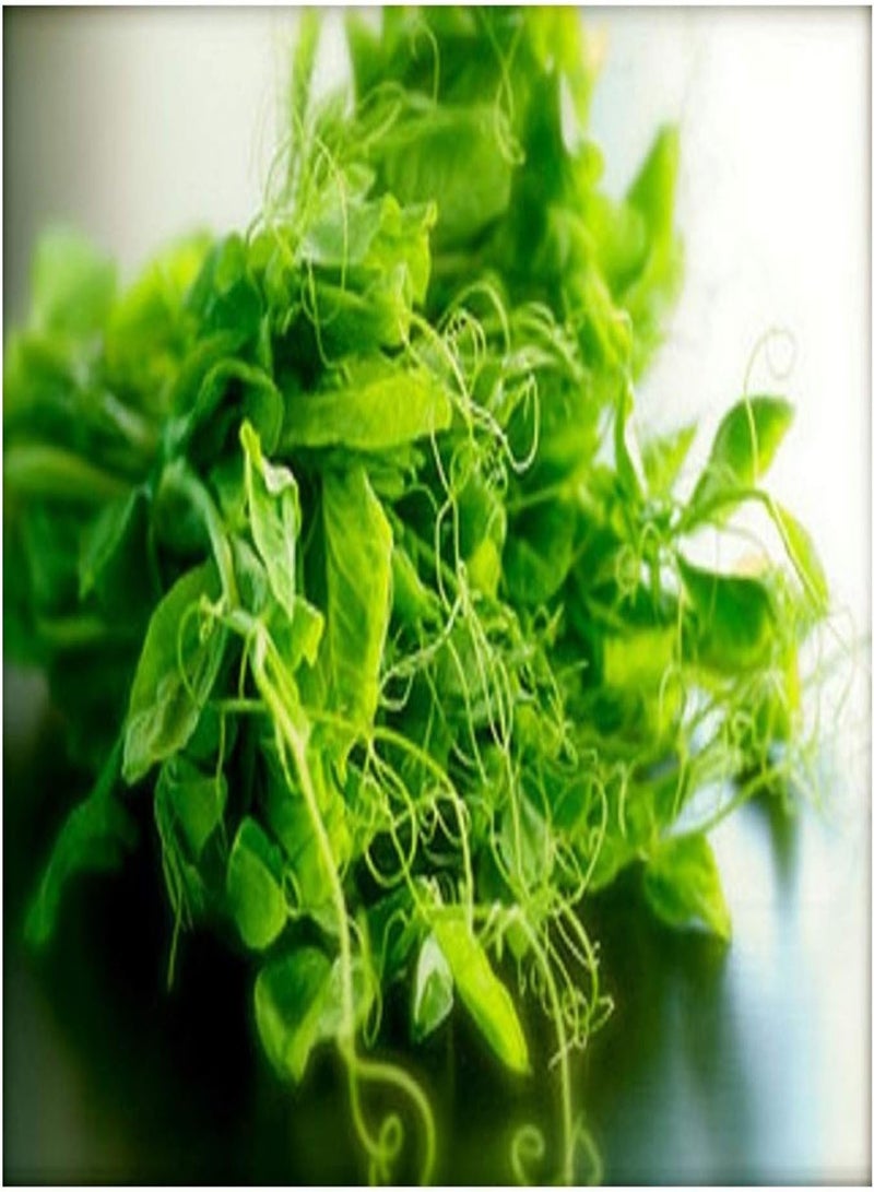 جي جوت بازلاء تنتريل العضوية - 200 جرام - سائبة - Image 1