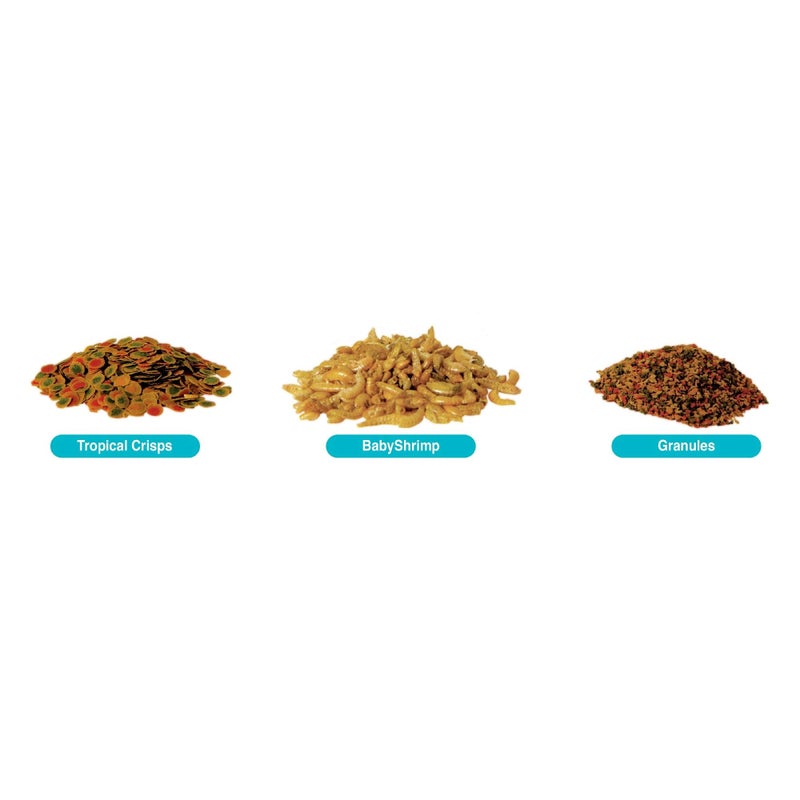 TetraMin Crisps Select-A-Food 2.4 Ounces, Fish Food, Variety Pack (77037) - Image 4