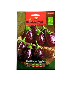 Agrimax Agrimax Plaid Eggplant Seeds Purple  - Image 3