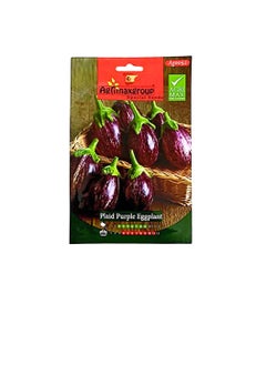 Agrimax Agrimax Plaid Eggplant Seeds Purple  - Image 1