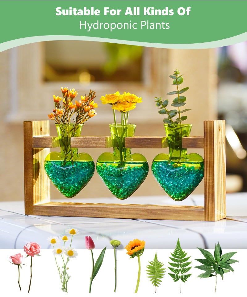Nacome Plant Terrarium Propagation Stations: Mothers Day Gifts for Mom Plant Lovers Women Wife Daughter - 3 Bulb Glass Vase with Wooden Stand Tabletop for Hydroponics Home Garden Decor(Green) - Image 3