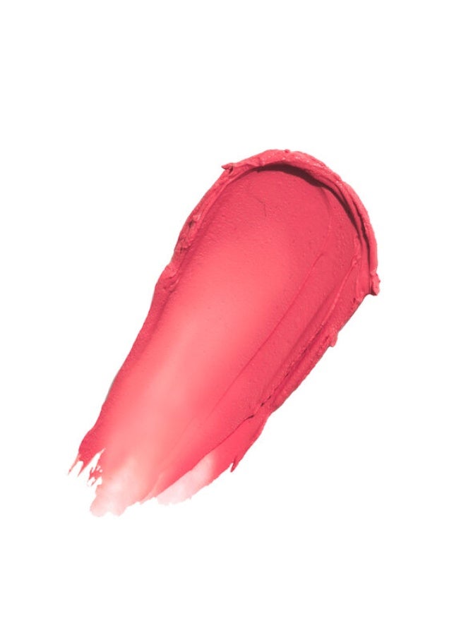 أبوت فيس حول الوجه - بلسم أحمر الخدود تشيك فريك بلون الشمبانيا - 10 غرام - Image 3