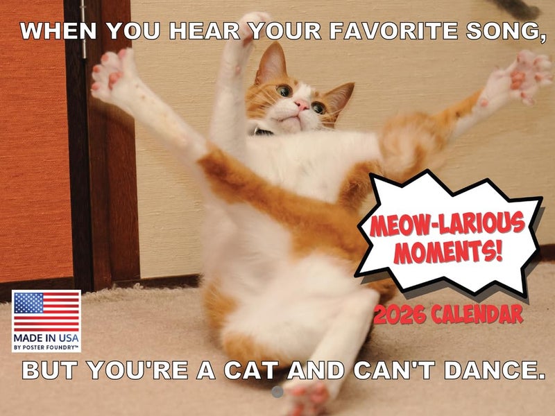 Poster Foundry Funny Cat Calendar 2026 Funny Gift Cats Monthly Wall Calender 12 Month | American Made In The USA - Image 1