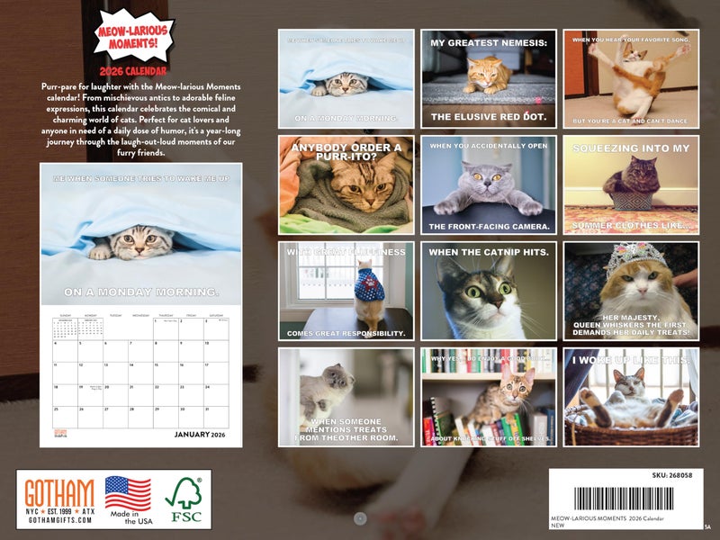 Poster Foundry Funny Cat Calendar 2026 Funny Gift Cats Monthly Wall Calender 12 Month | American Made In The USA - Image 2