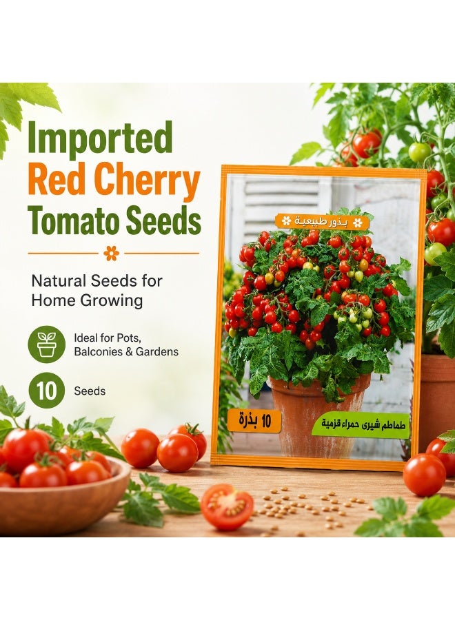 Premium, fast-growing, dwarf red cherry tomato seeds for potting, home gardens, and balconies - Image 2
