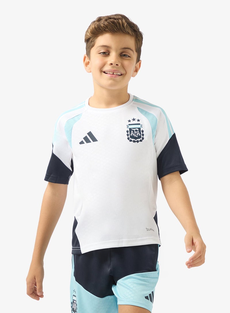 Adidas Youth Argentina Training Jersey - Image 1