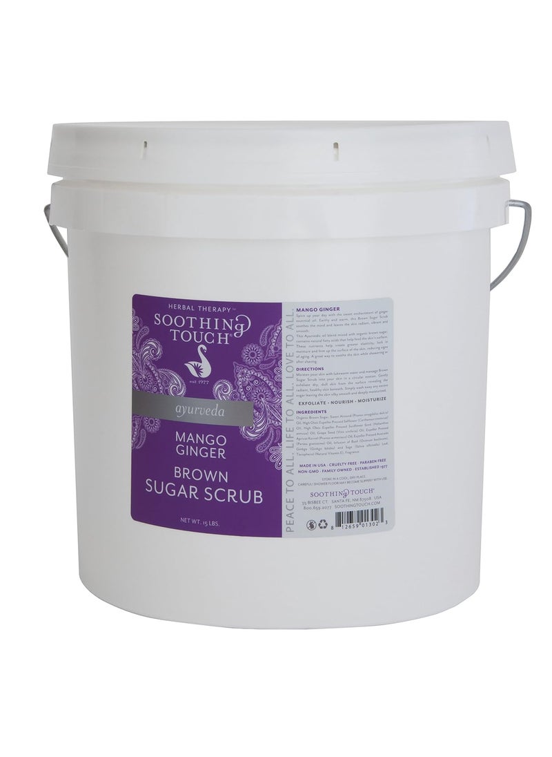Soothing Touch - Soothing Touch Brown Sugar Scrub Mango Ginger 15 Pound - Image 1