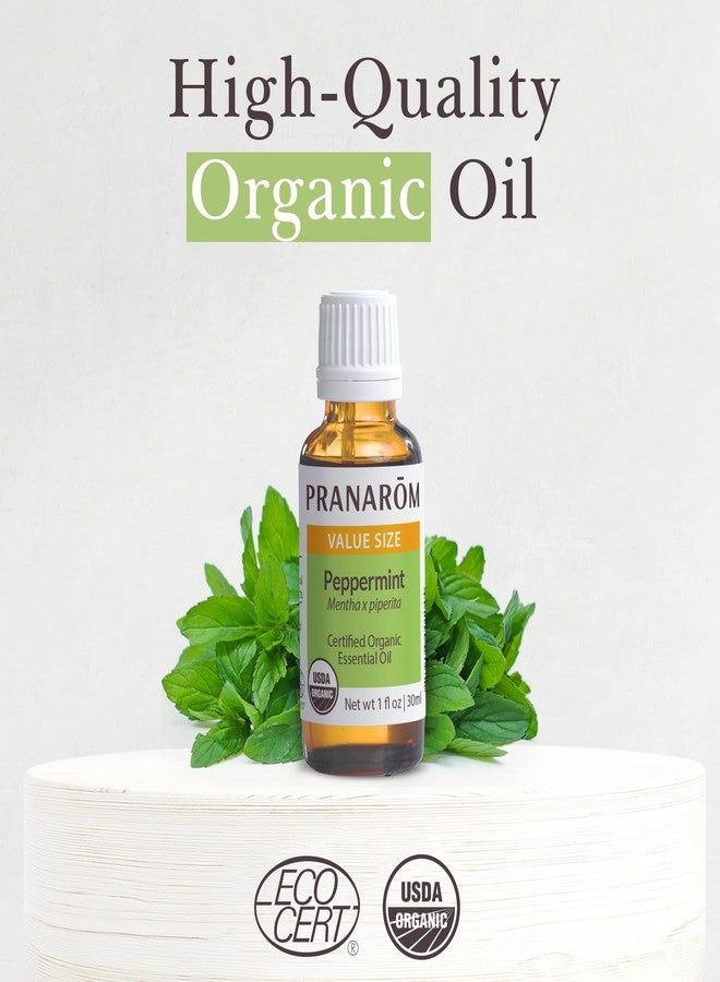 Pranarom USDA Certified Organic Peppermint Essential Oil (30ml), 100% Pure Undiluted Therapeutic Grade from India for Aromatherapy, Diffuser, Topical, Cooling, Massage & Relaxation - Image 3
