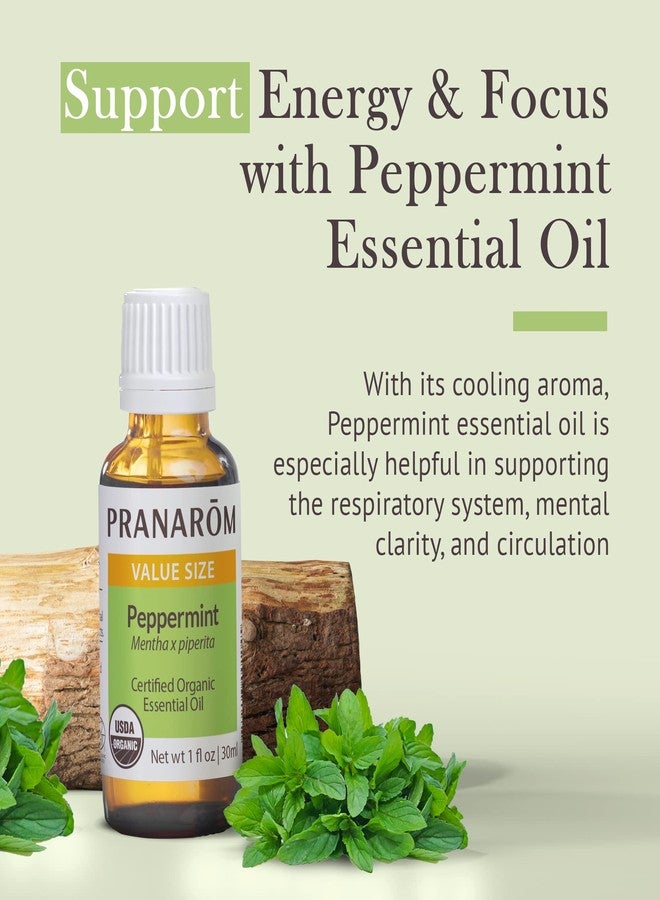 Pranarom USDA Certified Organic Peppermint Essential Oil (30ml), 100% Pure Undiluted Therapeutic Grade from India for Aromatherapy, Diffuser, Topical, Cooling, Massage & Relaxation - Image 2