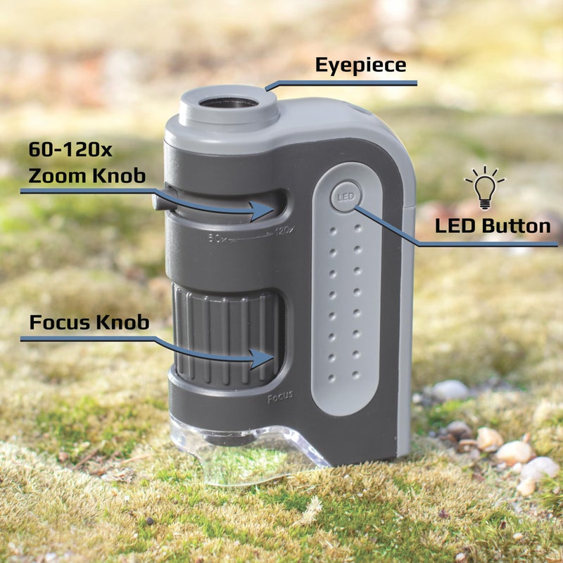 Carson MicroBrite Plus 60x-120x Accurate LED Lighted Pocket Microscope, Portable Educational STEM Toy, Mini Handheld Microscope for Student Science Lab (MM-300) - Image 5