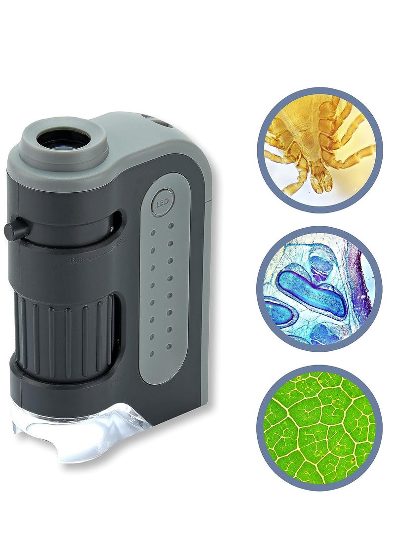 Carson Carson MicroBrite Plus 60x-120x LED Lighted Pocket Microscope, Portable Handheld Microscope for Adults, Mini Microscope for Student Science Lab, STEM Educational Portable Microscope (MM-300)  - Image 1