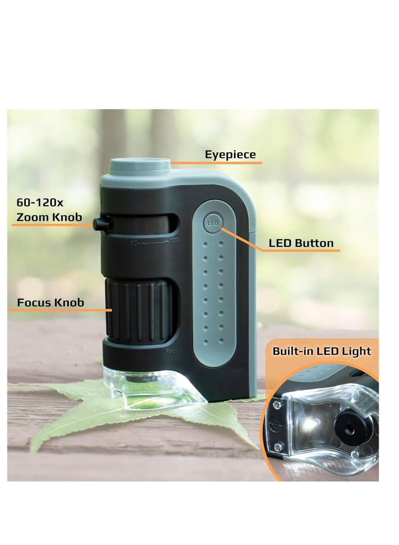 Carson Carson MicroBrite Plus 60x-120x LED Lighted Pocket Microscope, Portable Handheld Microscope for Adults, Mini Microscope for Student Science Lab, STEM Educational Portable Microscope (MM-300)  - Image 3